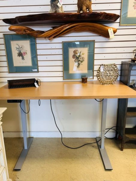 ESI Triumph-LX Electric Adjustable Height Sit-to-Stand Desk